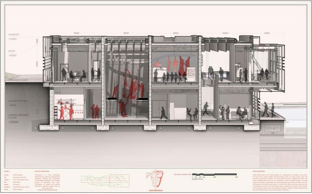 Cowtropolis sectional architecture drawing by David Alvan