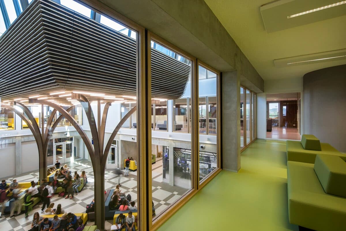 Modern bright communal area in educational building with floor-to-ceiling windows and organic design elements
