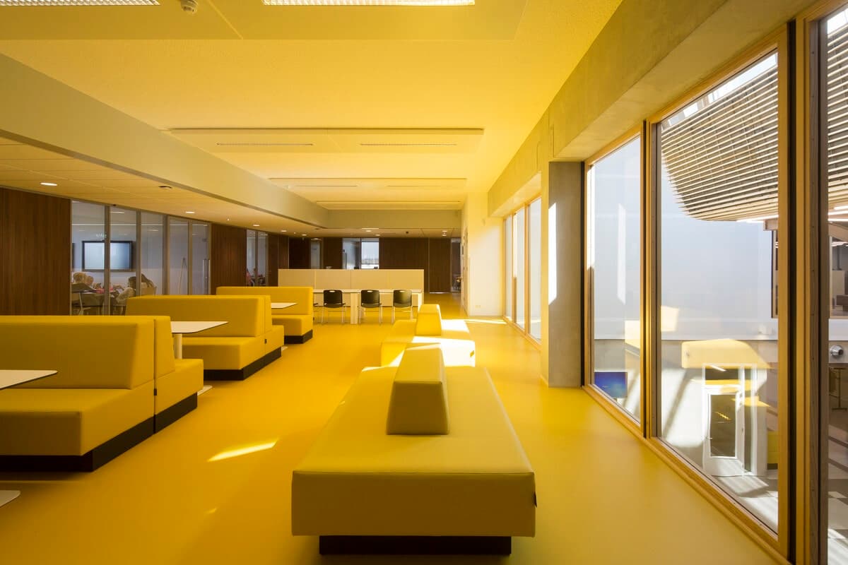 Contemporary lounge area with yellow furniture, floor-to-ceiling windows, and natural light.