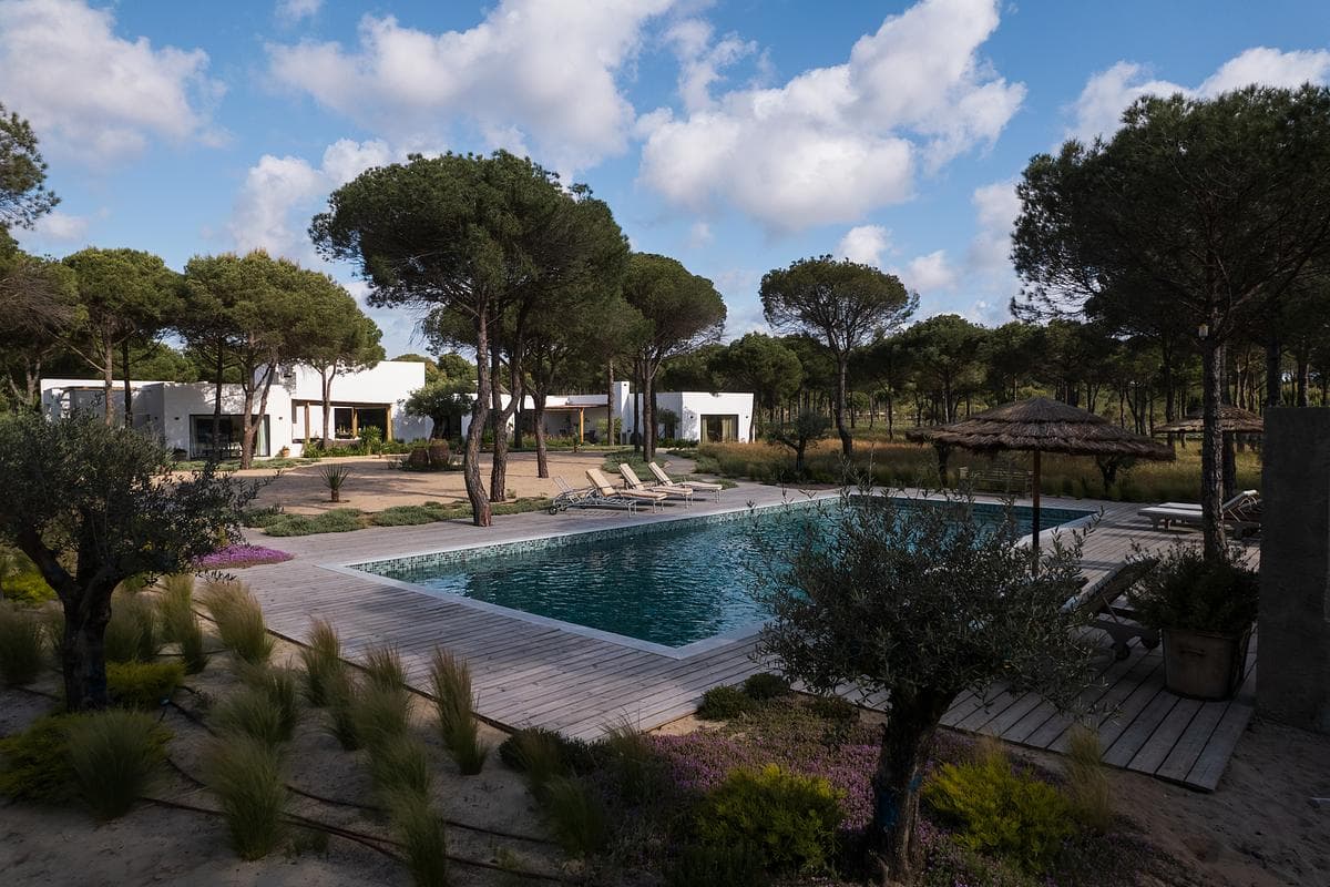 Pool and planted terraces among the umbrella pines.