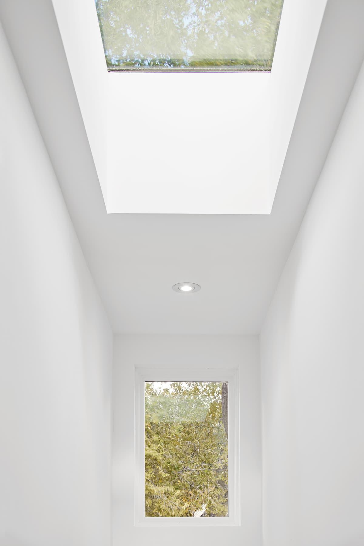 Rooflights bring daylight into the upper-level circulation.