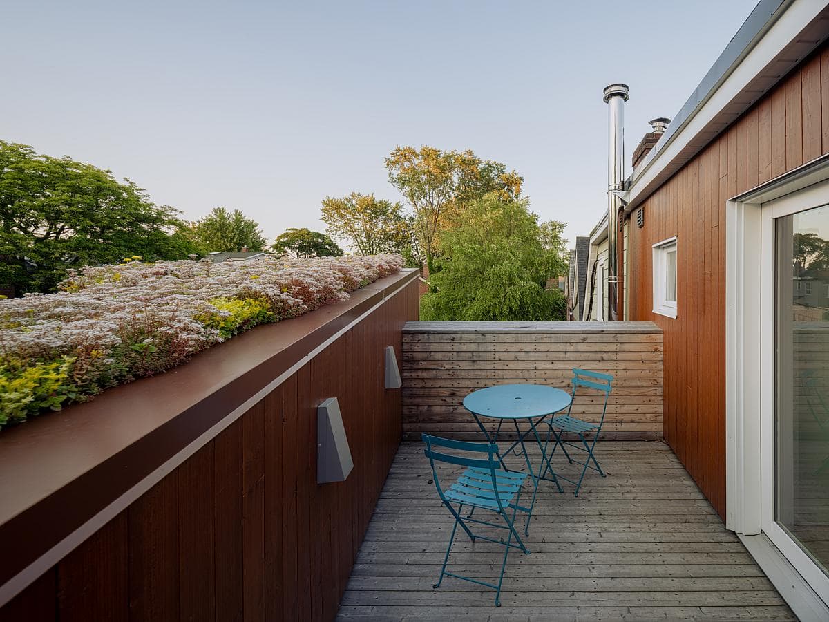 The roof terrace sits above the rear addition beside a planted edge.