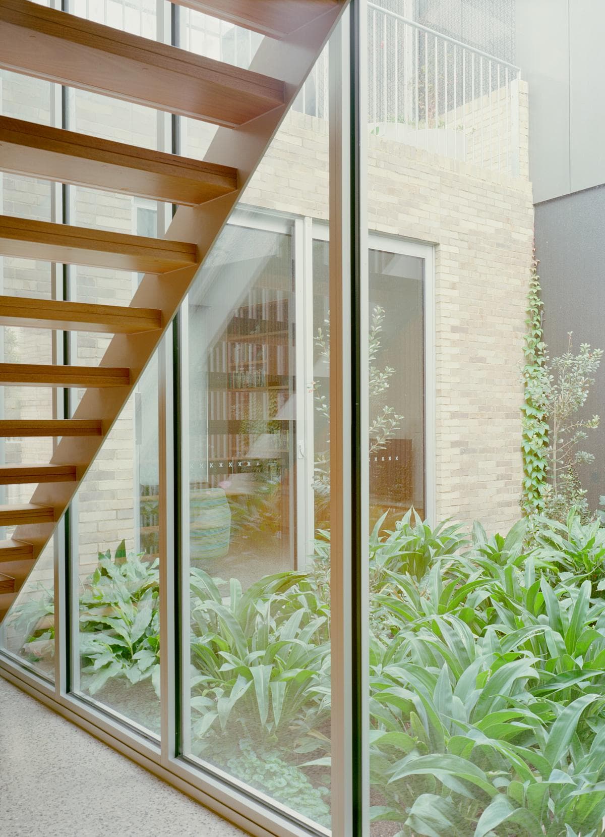 Timber stair treads beside the glazed courtyard wall.