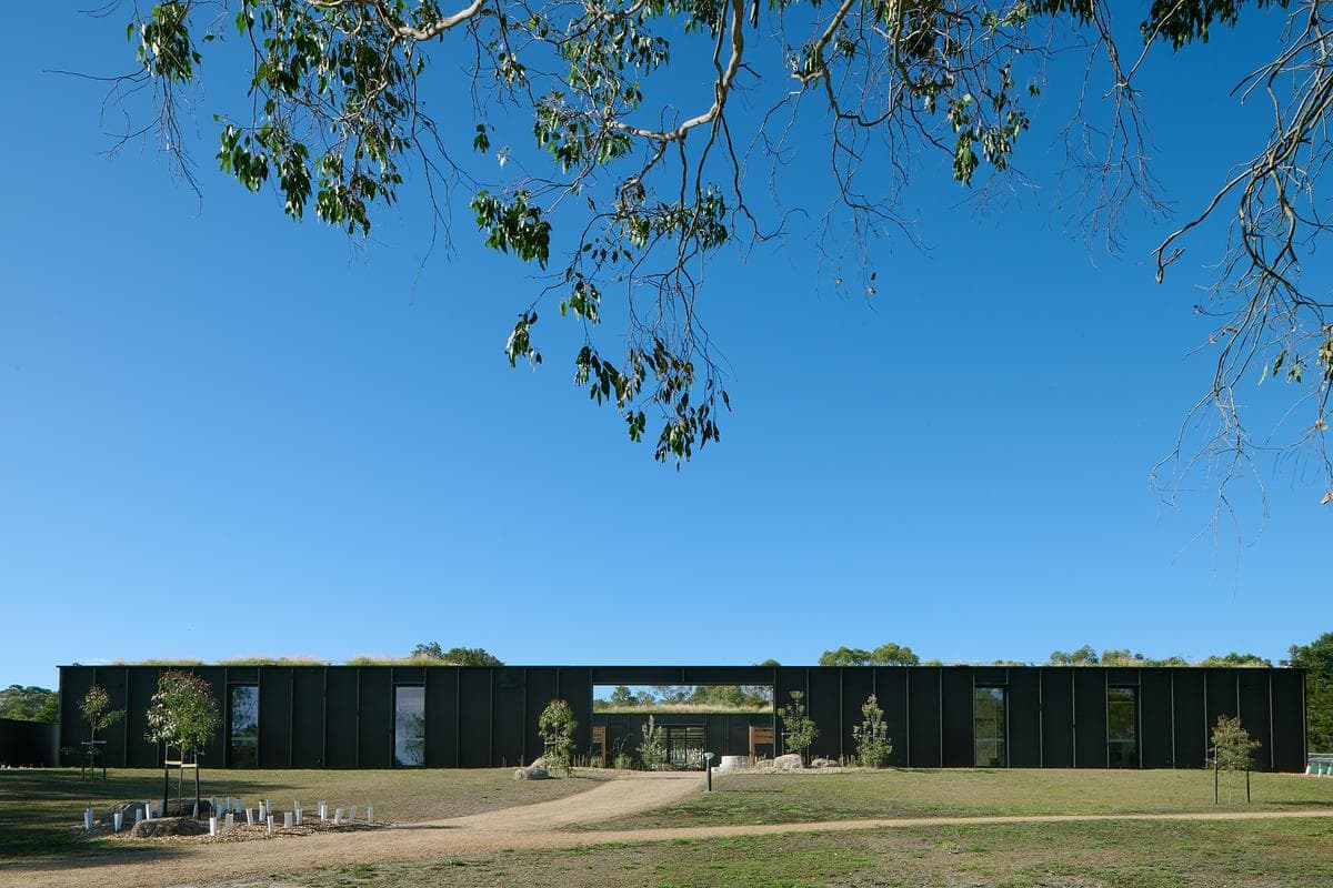 Long low pavilion within the school landscape