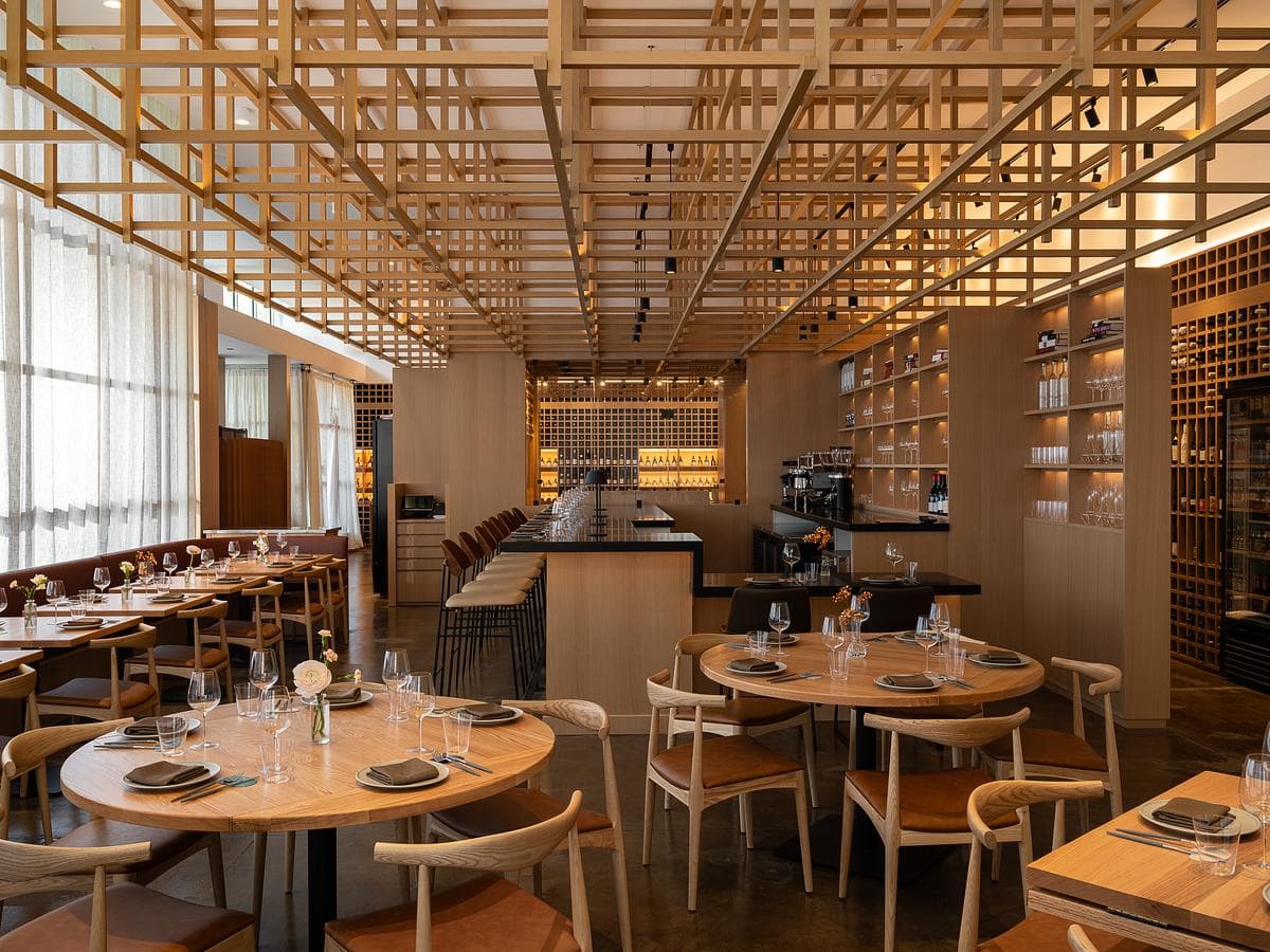 Daylit café seating and counter beneath the timber canopy