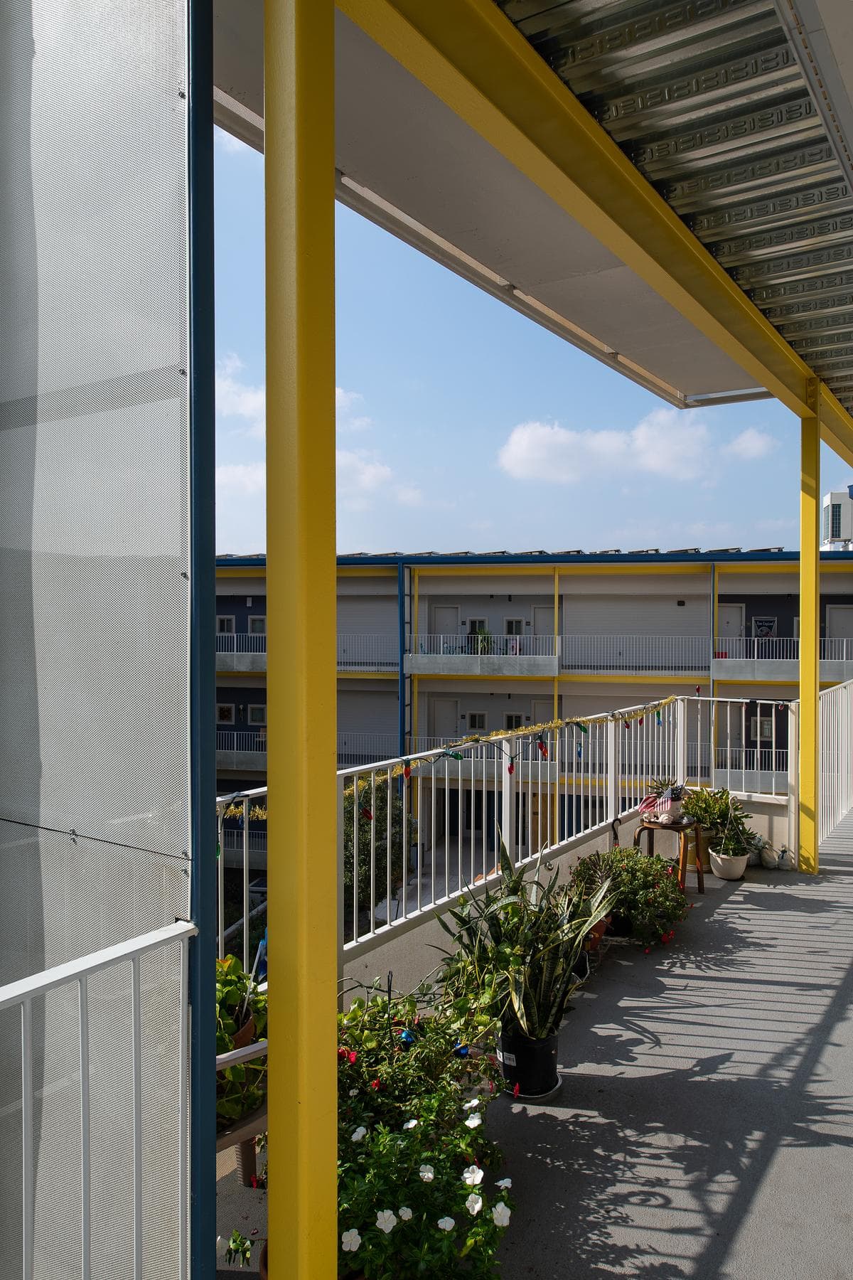 Shared external corridor overlooking the planted courtyard