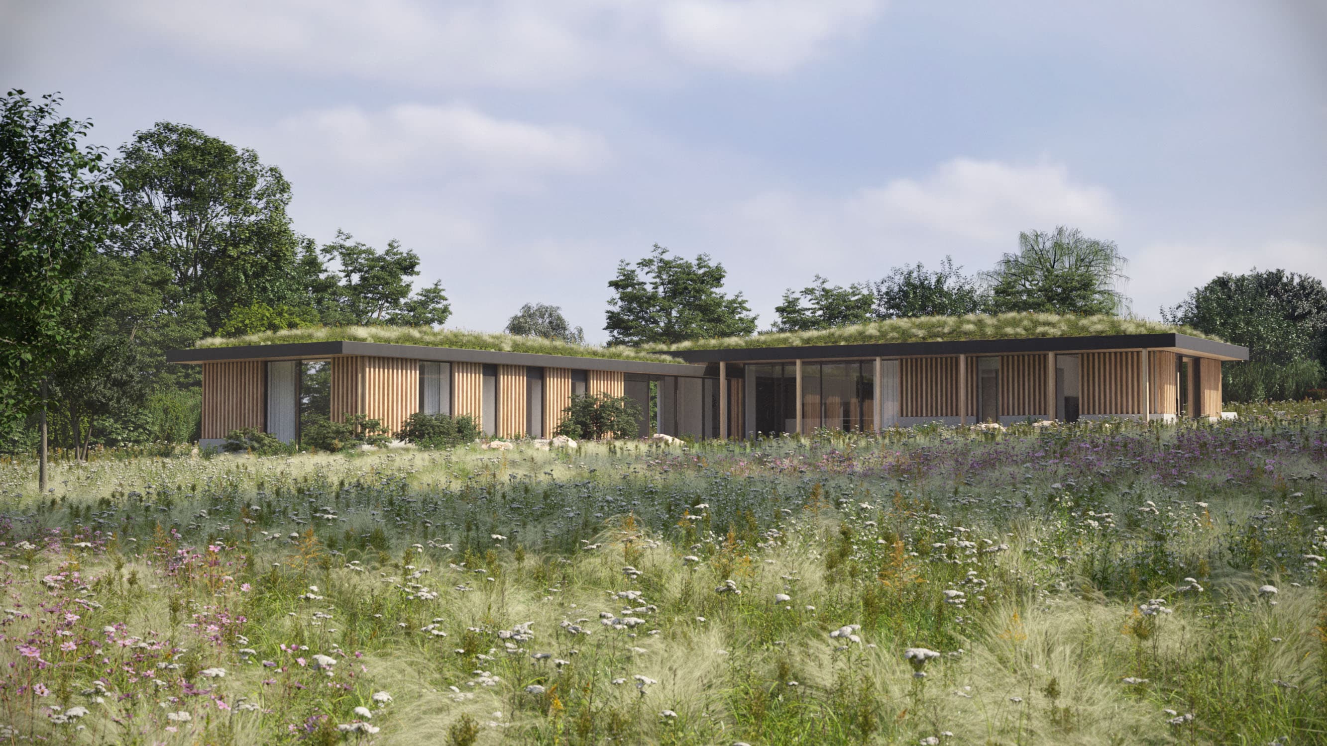 Visualisation of Sunset House within its planted landscape