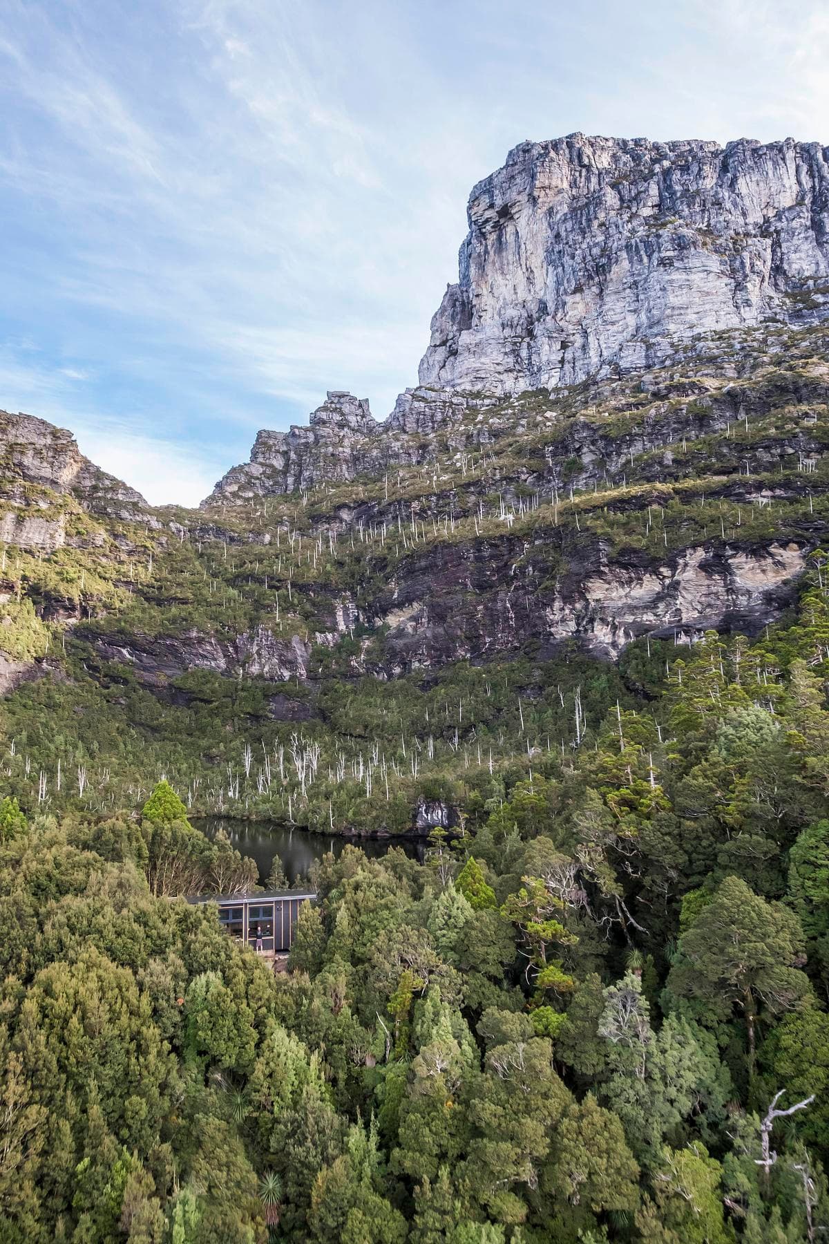 The hut sits within the forest below Frenchmans Cap.
