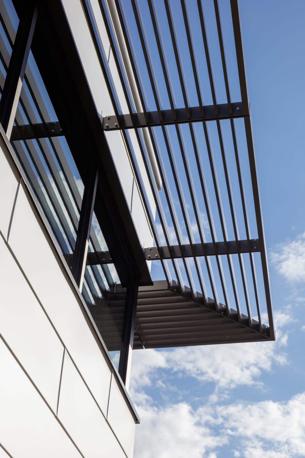 The Center at Belvedere: view upwards through roof louvres and glazing