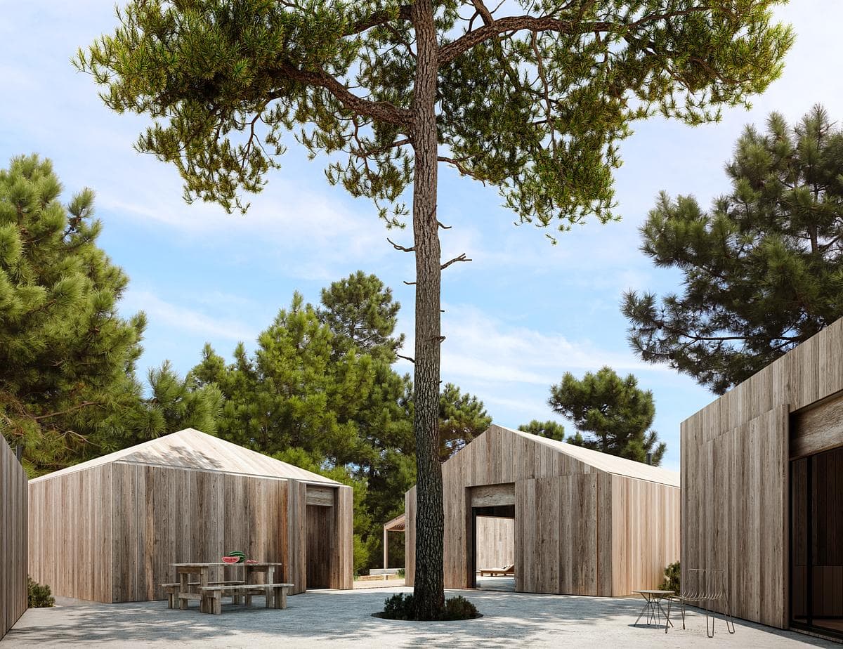 Visualisation of the cabins arranged around an existing pine.