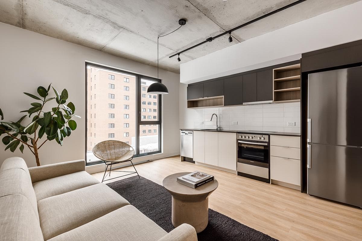 Pale kitchen cabinetry and timber flooring sit beneath an exposed concrete ceiling.
