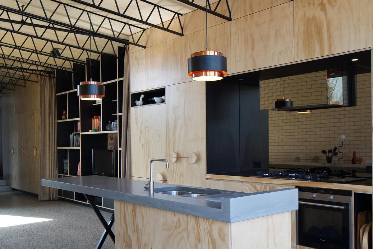 Plywood joinery and exposed steel trusses shape the main living space.