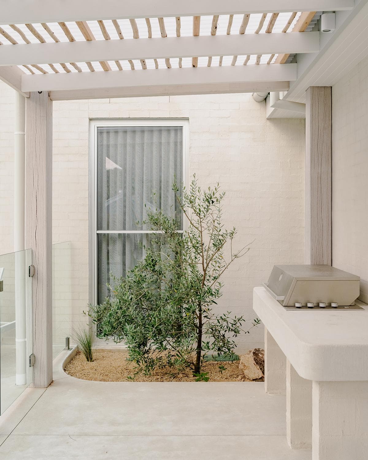 Planted courtyard beneath an open pergola