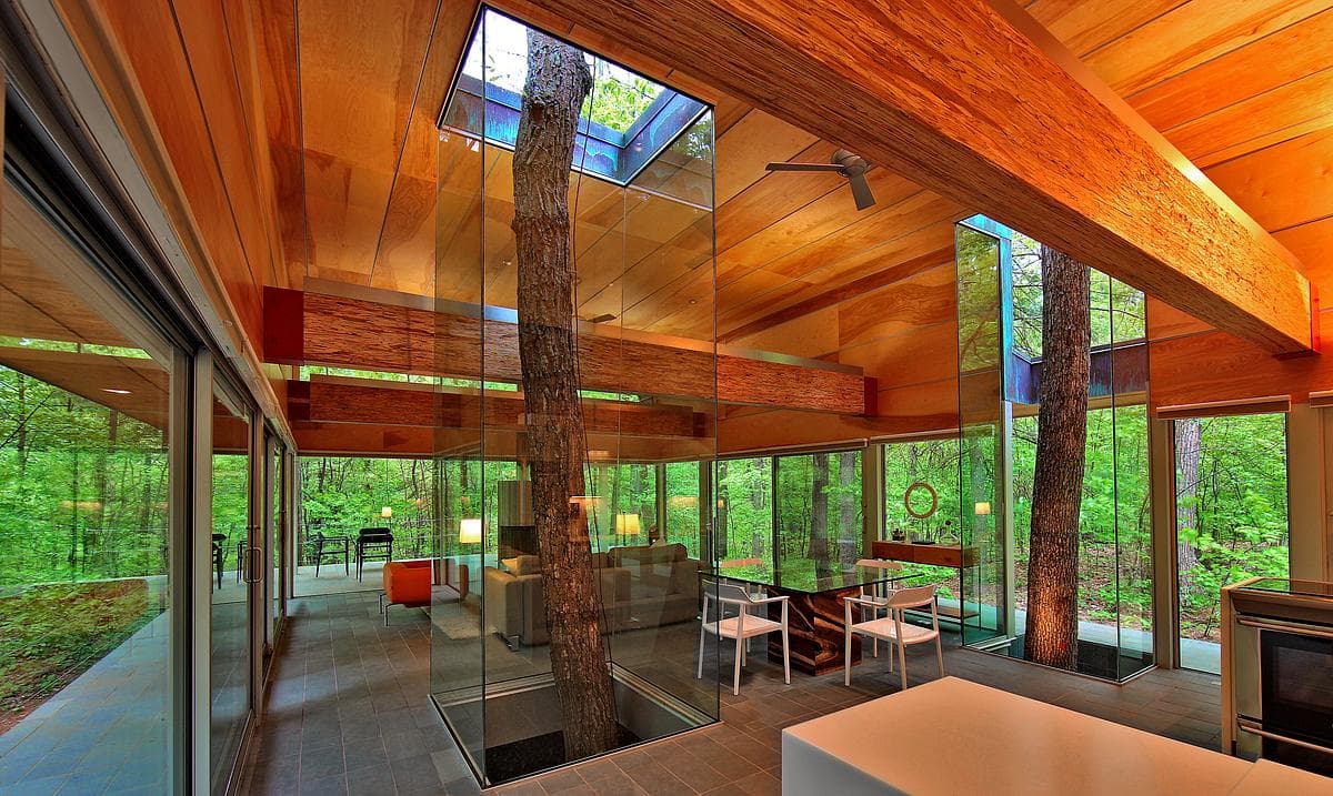 A tree rises through a glazed shaft beside the living and dining spaces.