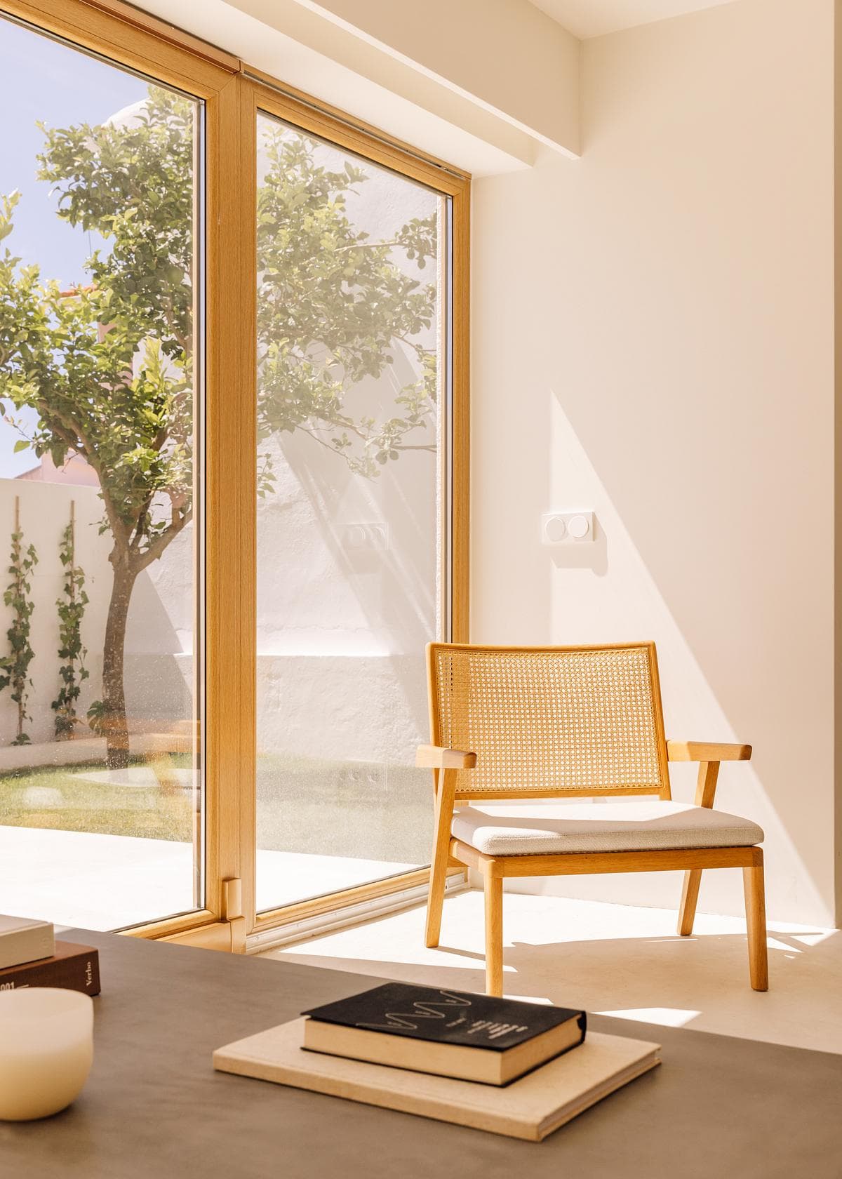 The glazed opening brings the courtyard tree into the living room.