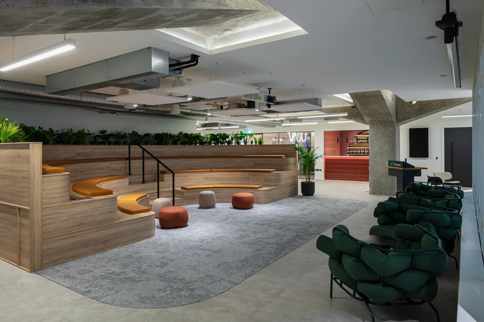 Stepped timber seating and meeting space beneath the existing concrete structure