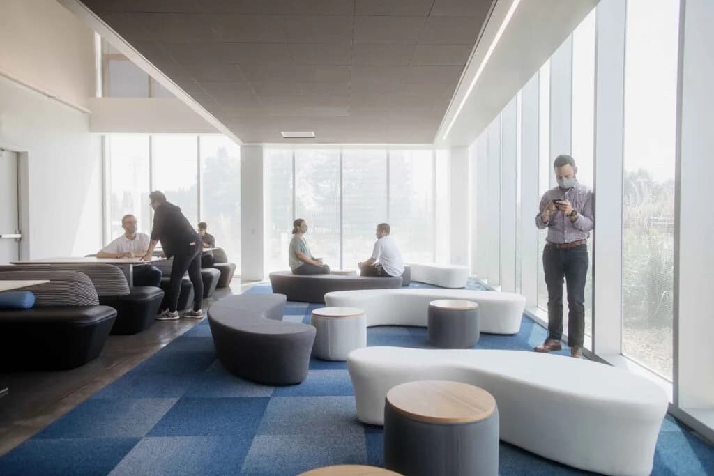Lightbox lounge with low seating beside full-height glazing