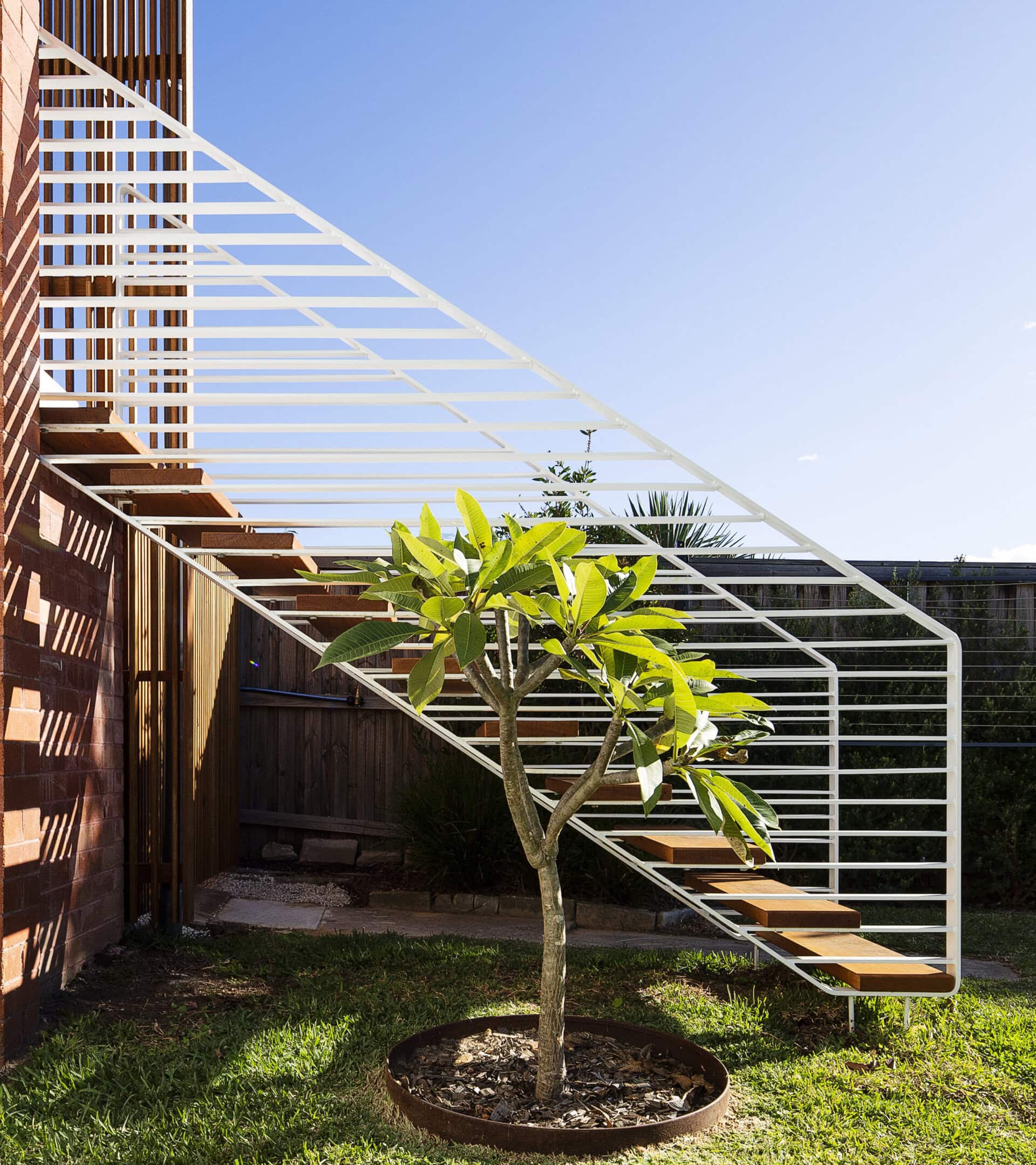 External timber stair with a white metal balustrade rising above a small courtyard tree.