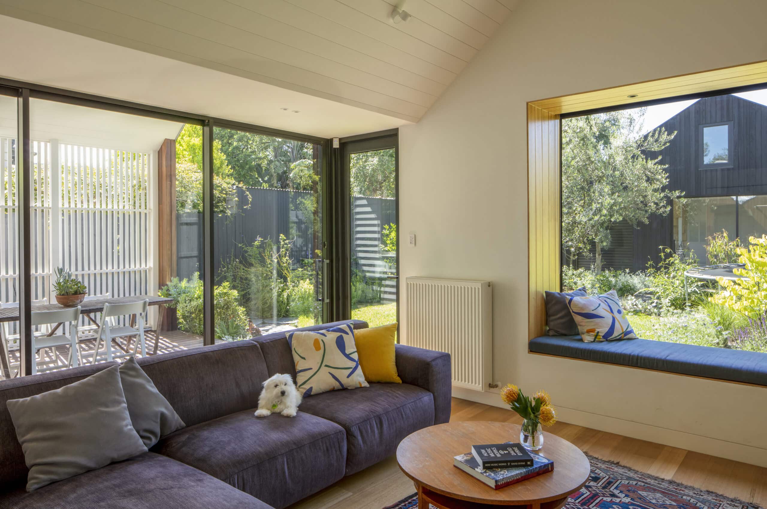 Living room with a purple sofa, timber floor and large windows looking into the planted garden.