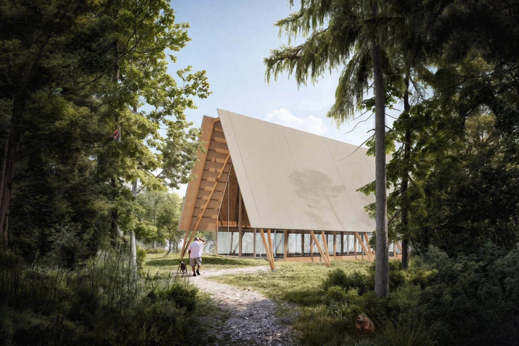 Coille an Àm - The Scottish Woodland Archive, image 1, work by Christopher Briggs