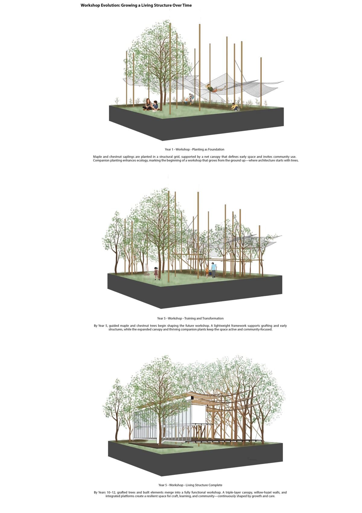 Growing Together: Living Architecture Through Grafted Ecosystems, image 4, work by Divya Vura