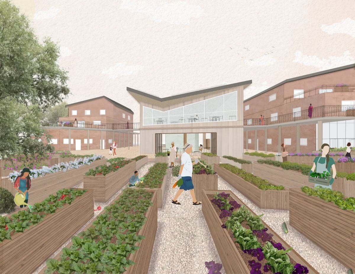 The Norwich food hub, submitted work by Victoria Salami