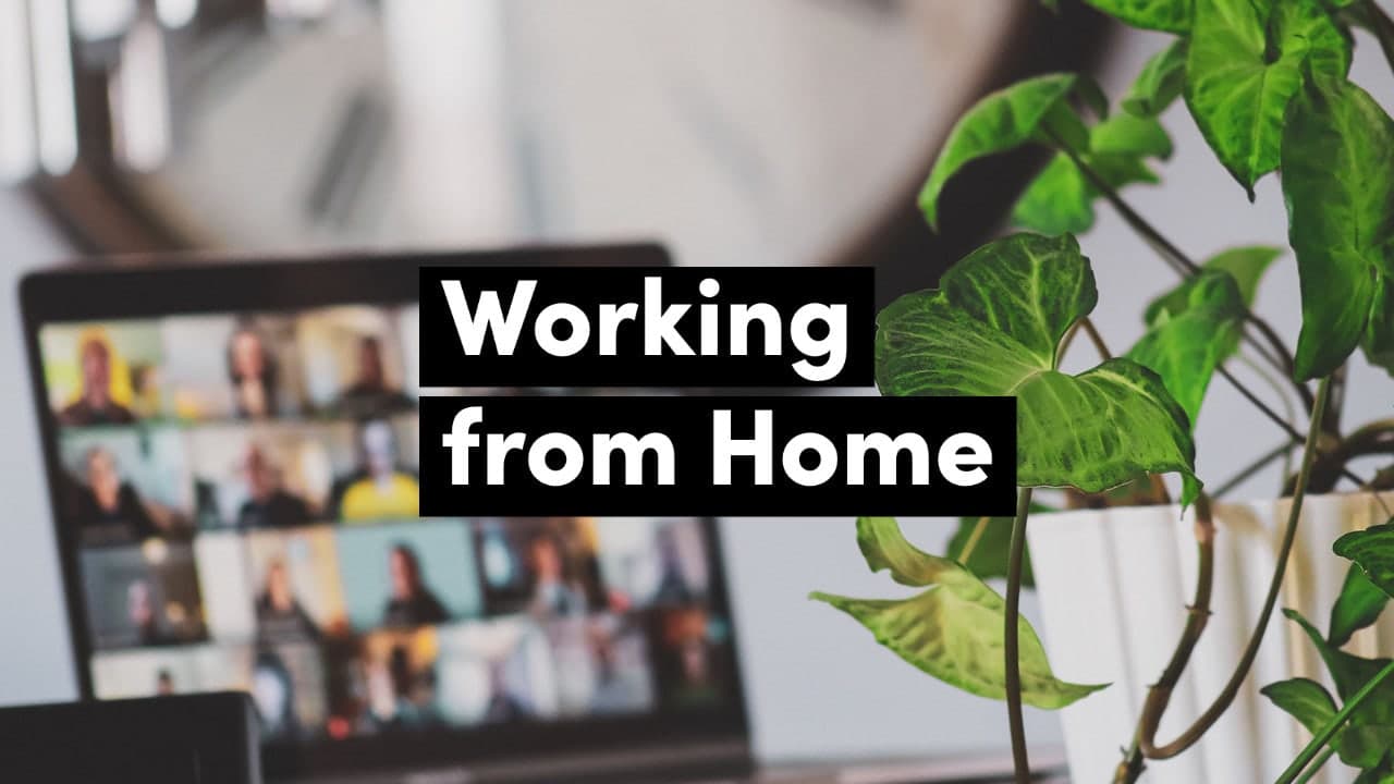 Home office setup with laptop, video call, and green plant for a productive remote work environment.