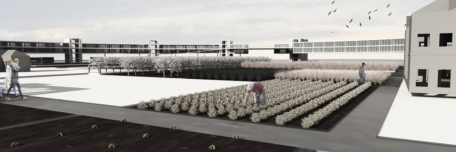 Development view 3
