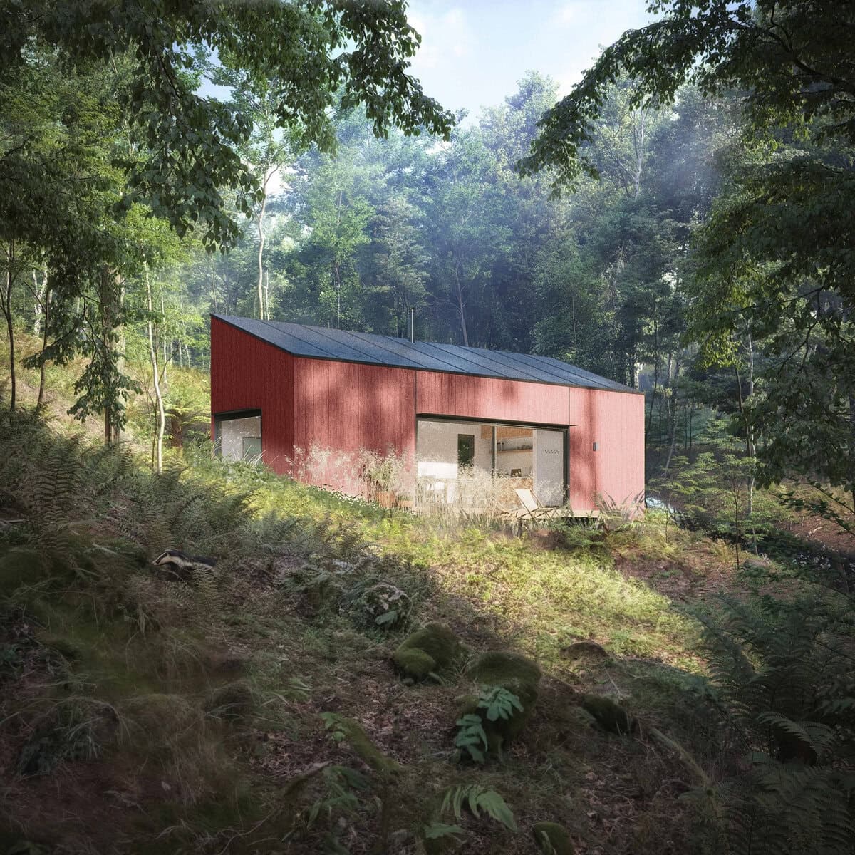 Coille an Àm - The Scottish Woodland Archive, image 3, work by Christopher Briggs