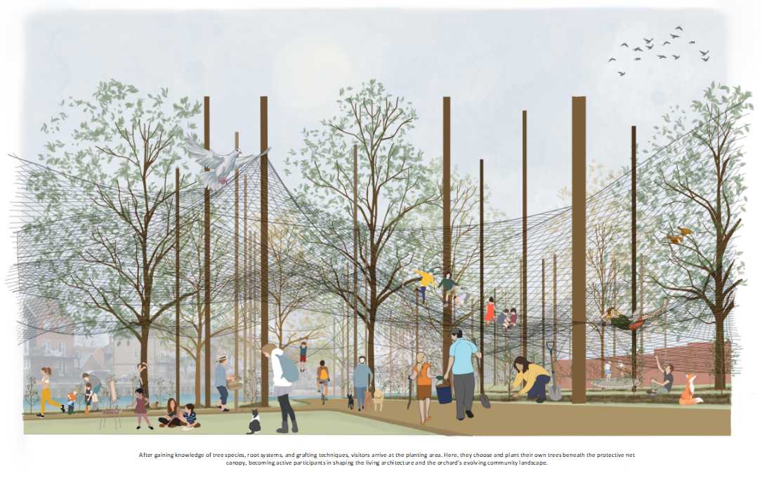 Growing Together: Living Architecture Through Grafted Ecosystems, image 2, work by Divya Vura