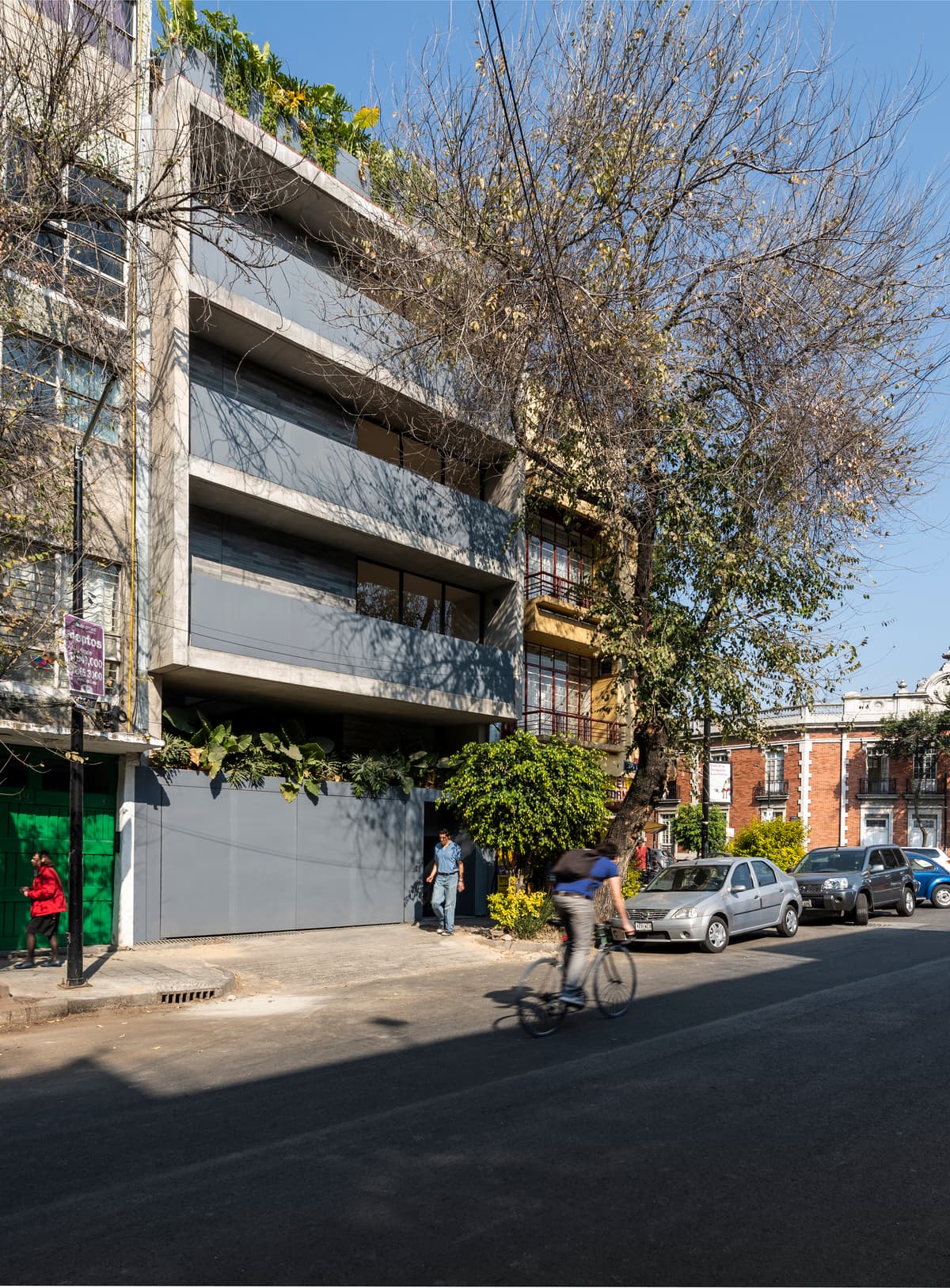 Balconies face the street beneath trees in Colonia Juárez.