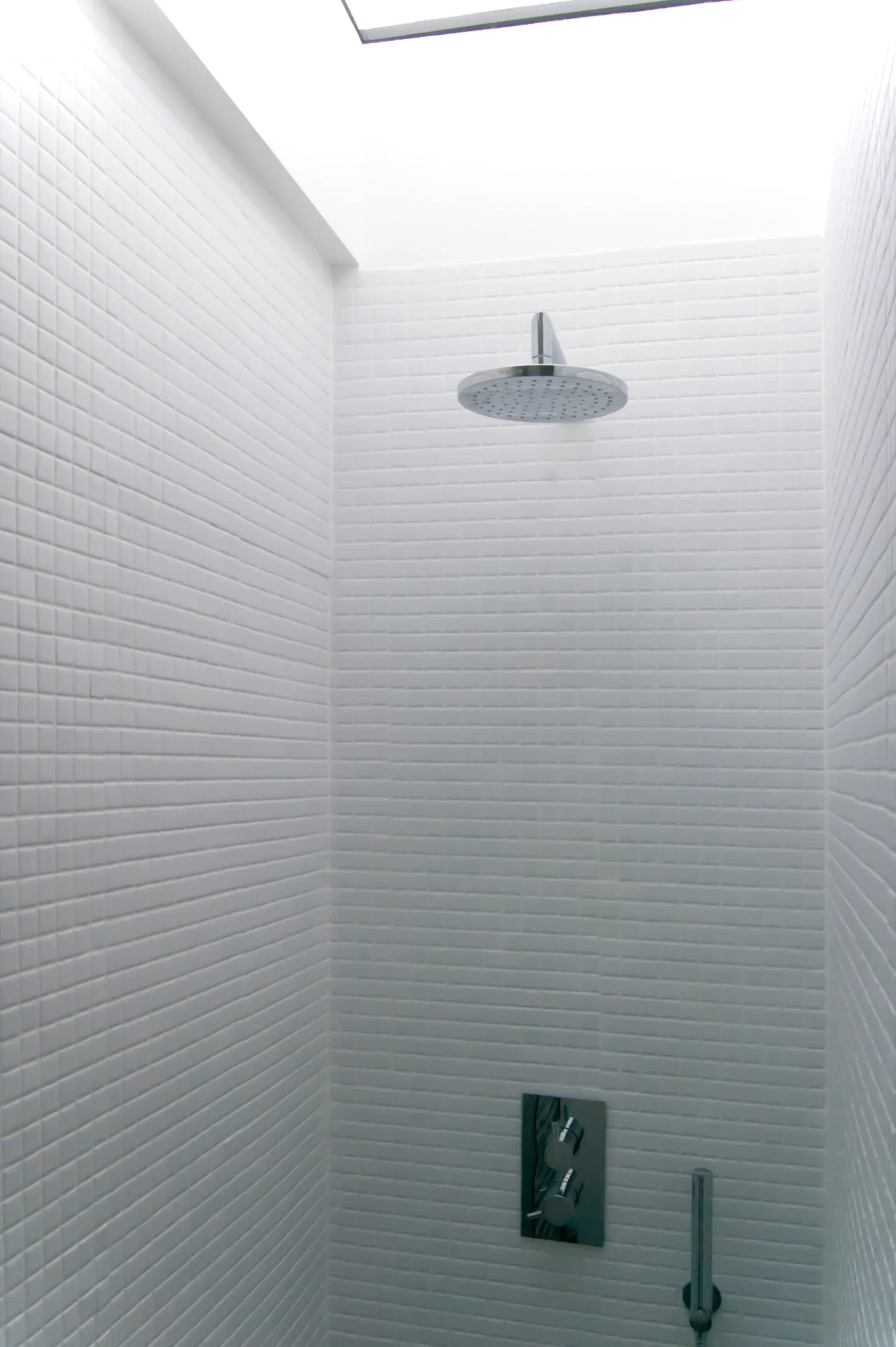 A rooflight brings daylight into the tiled shower.
