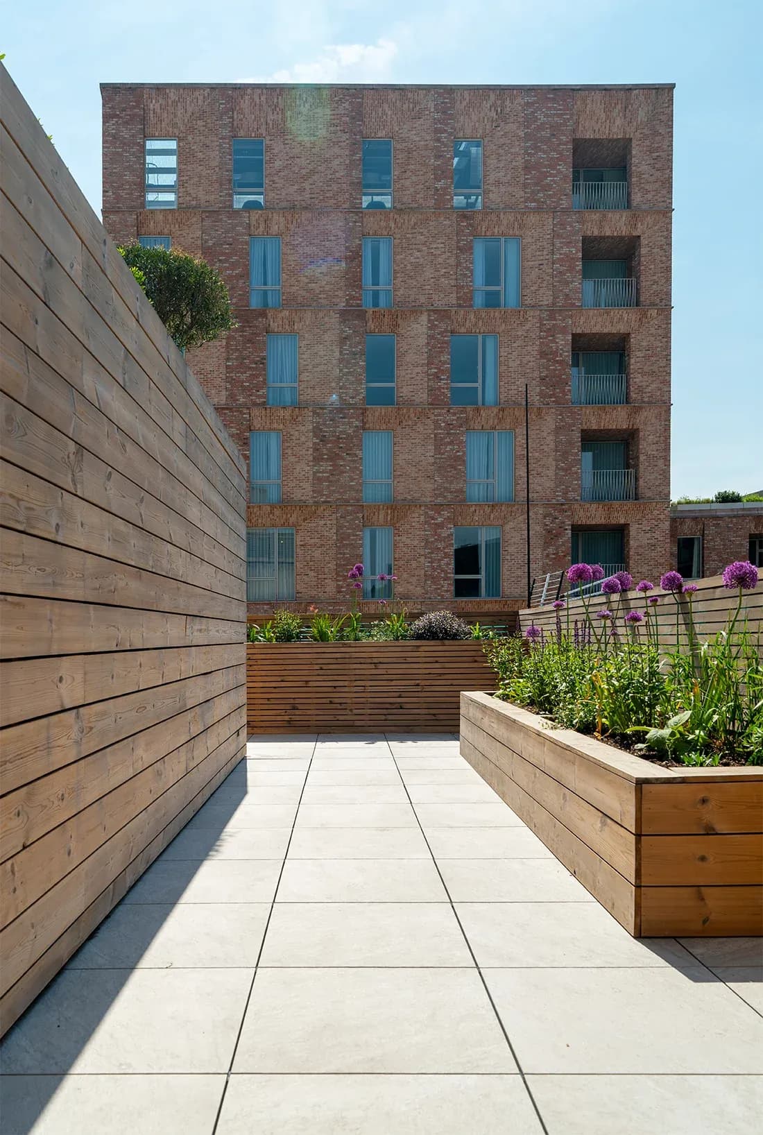 The planted roof terrace sits between the hospital’s existing buildings.