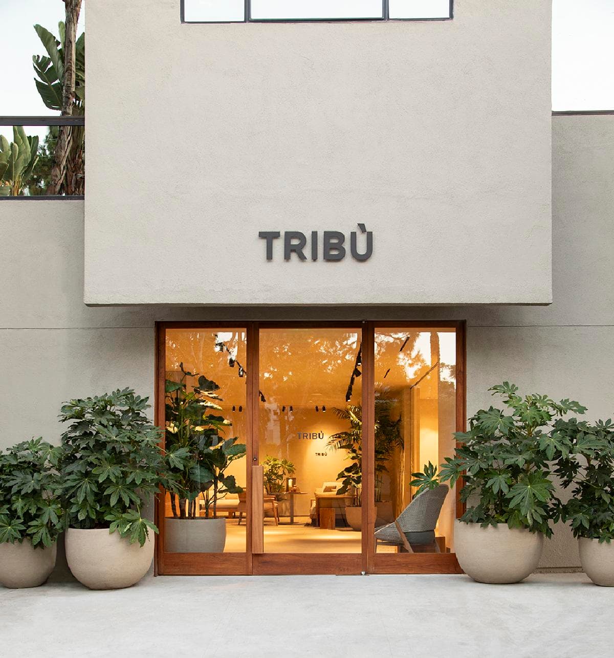A planted entrance beneath the Tribù sign marks the showroom’s street address.