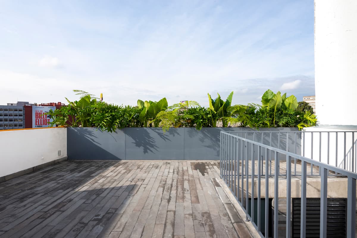 A planted roof terrace provides an outdoor room above the street.