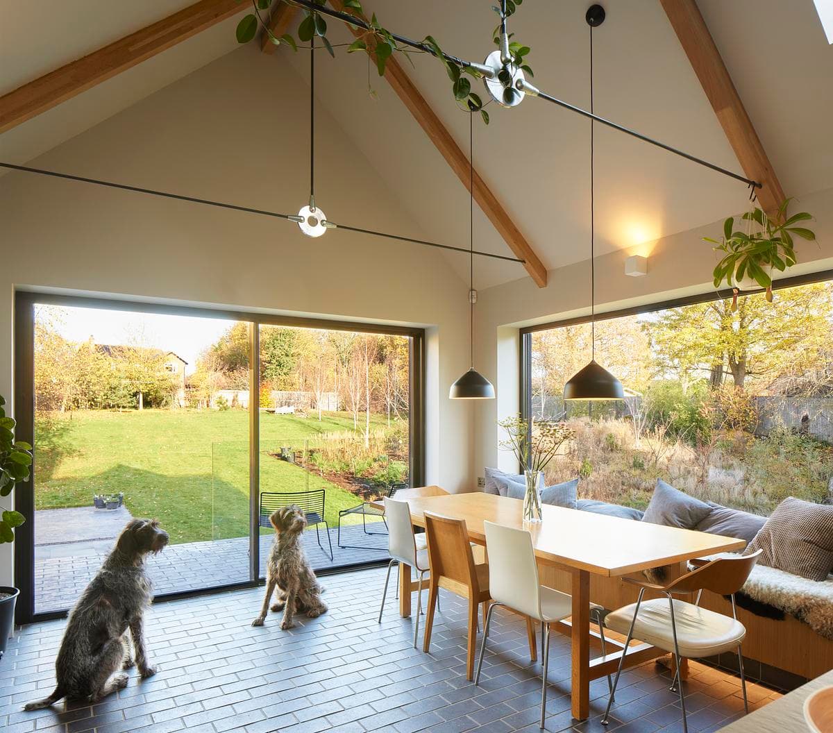 Exposed timber roof structure above the dining space and garden-facing glazing.