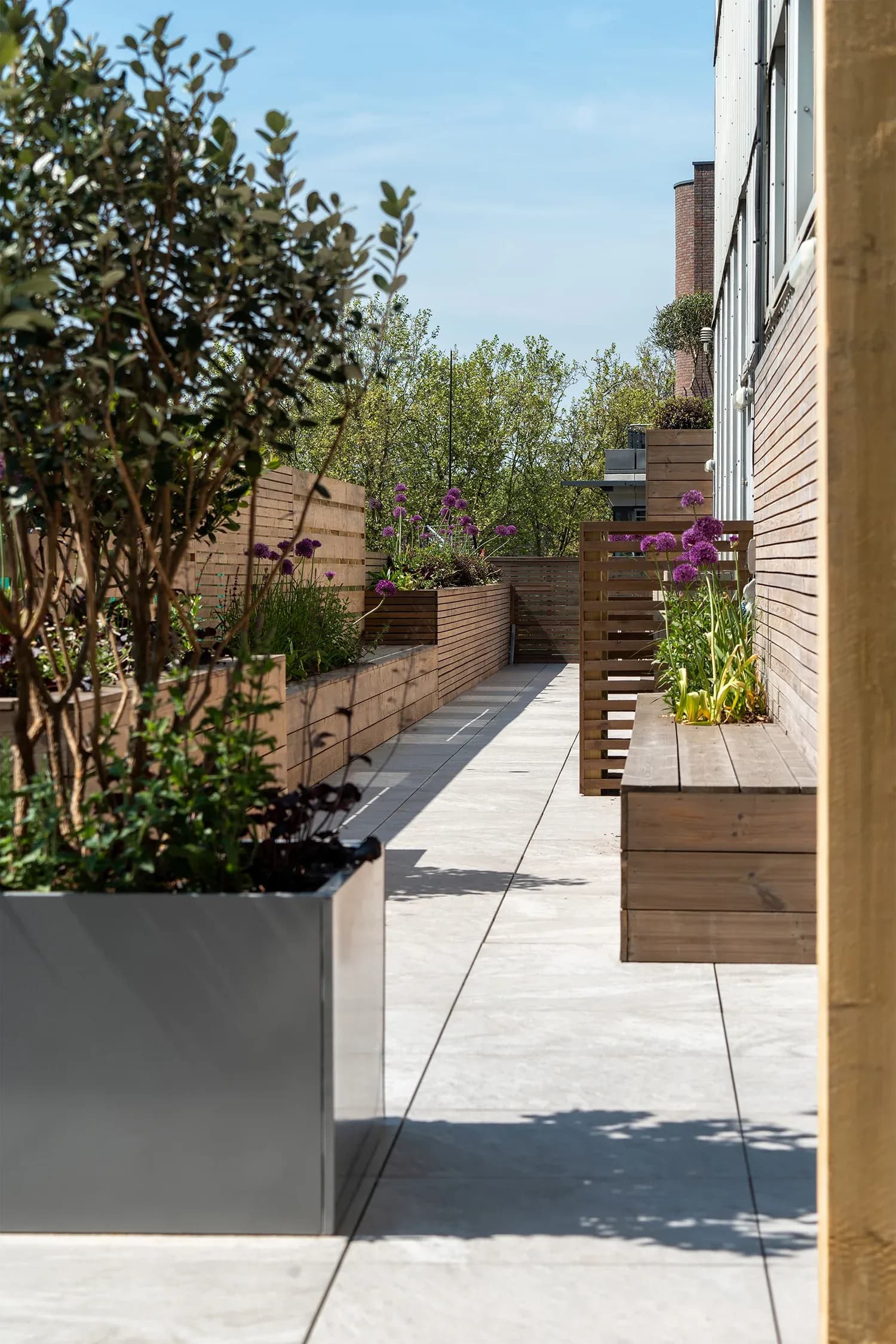 Planting and timber seating divide the path into smaller places to pause.