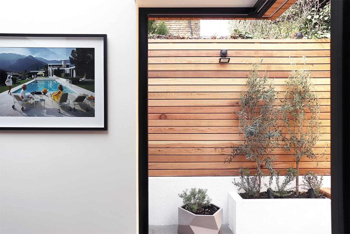 Planting and horizontal timber boards line the terrace outside House in Archway.