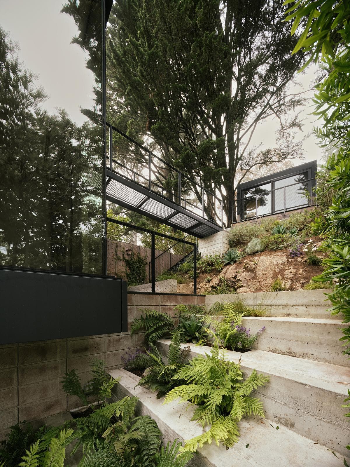 Terraced planting and steps lead down through the rear garden.