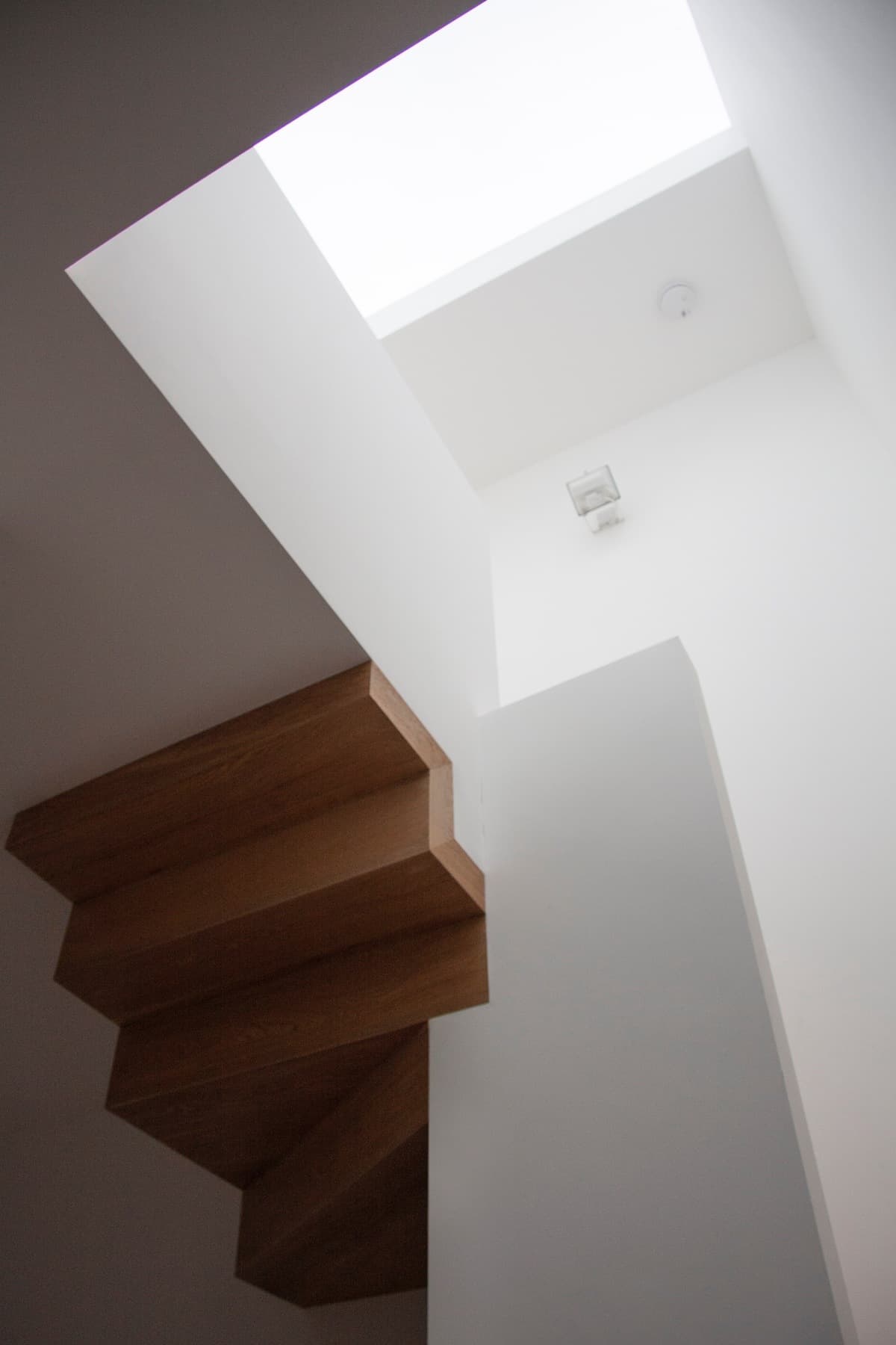 A folded timber staircase rises between white walls towards a rooflight at Vertical Intersect.