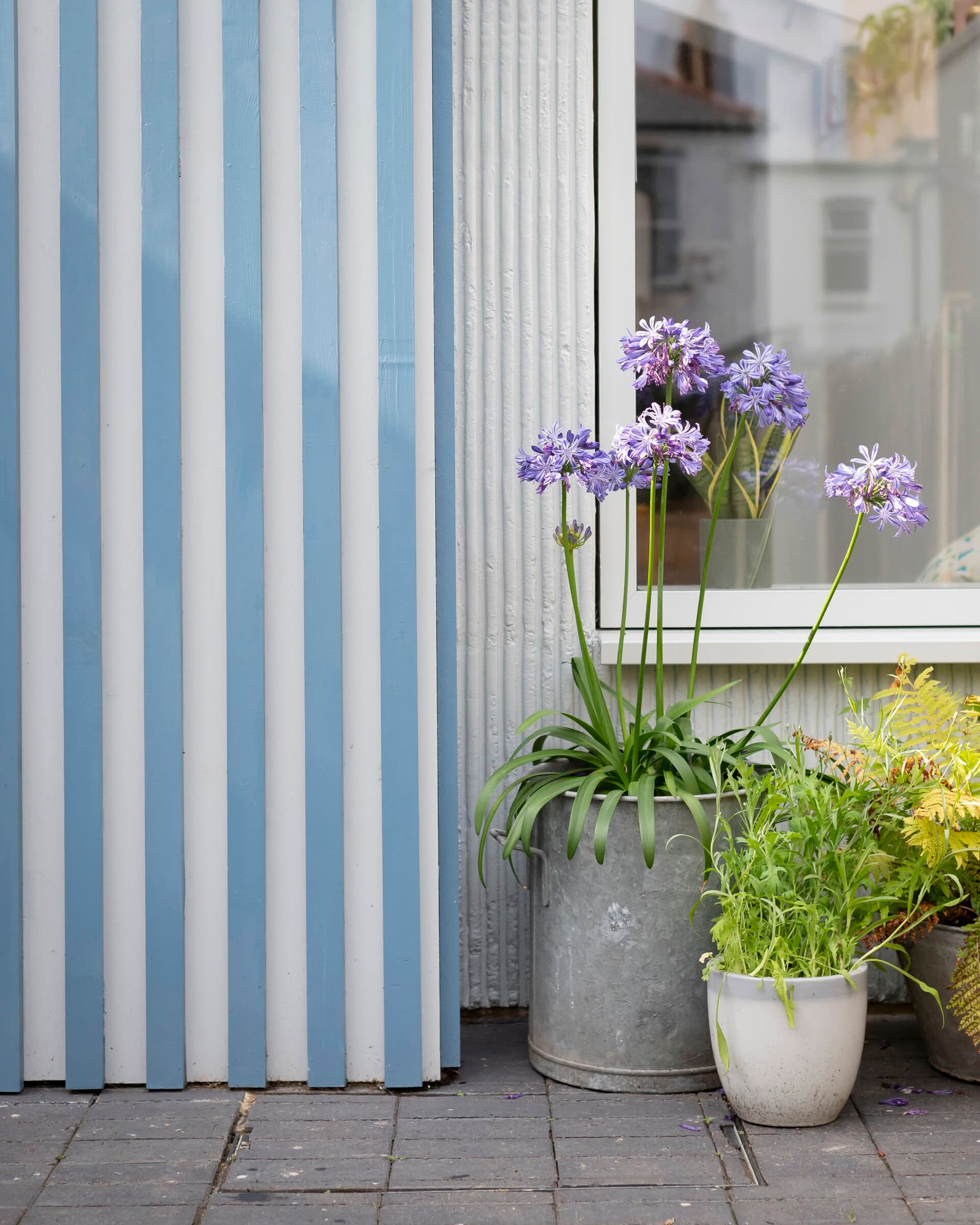 Cladding detail beside flowers.