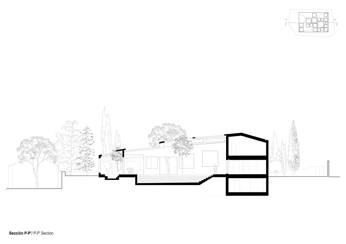 Modern minimalist architectural section drawing showcasing a buildings layout and harmonious landscaping.