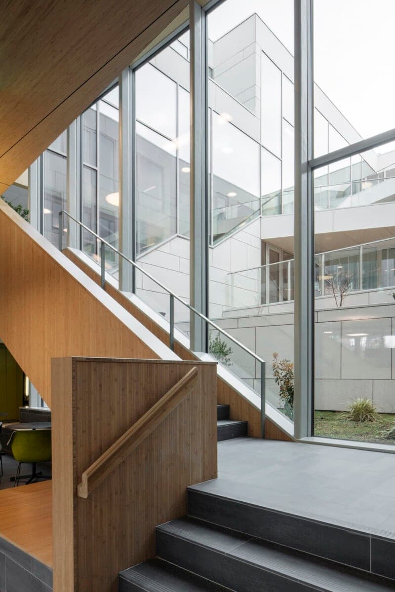 Modern healthcare clinic interior with wooden staircase, glass walls, and abundant natural light.