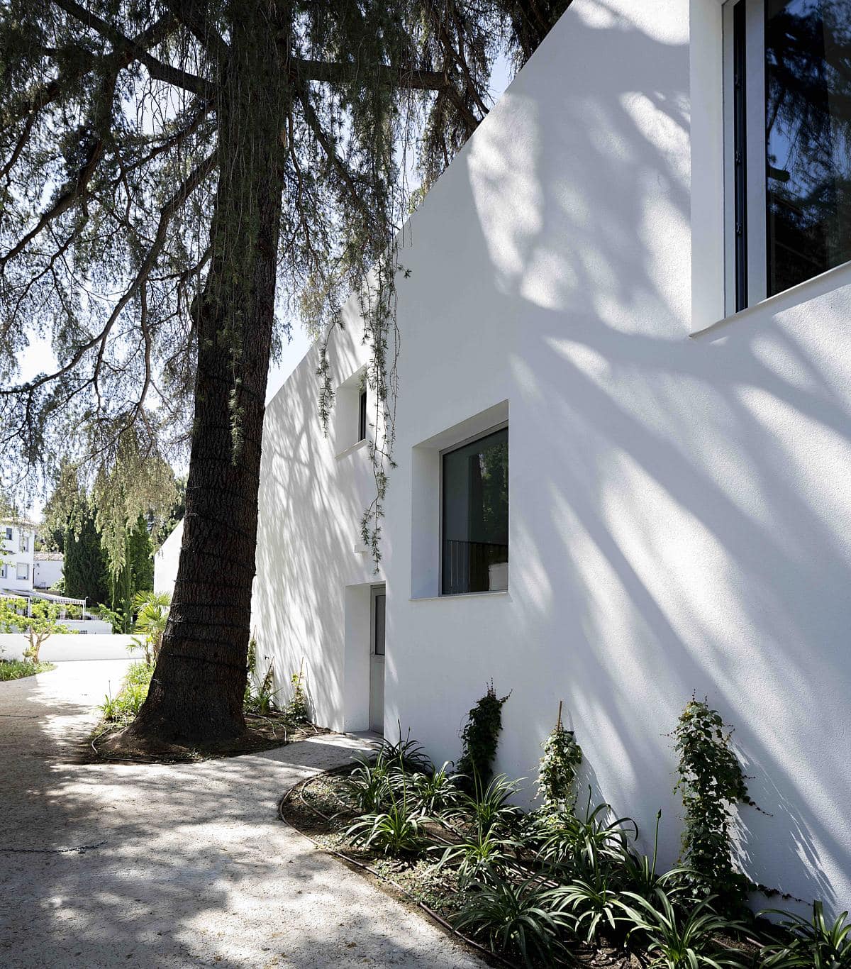 Contemporary minimalist home with lush greenery and welcoming pathway, blending architecture and nature.