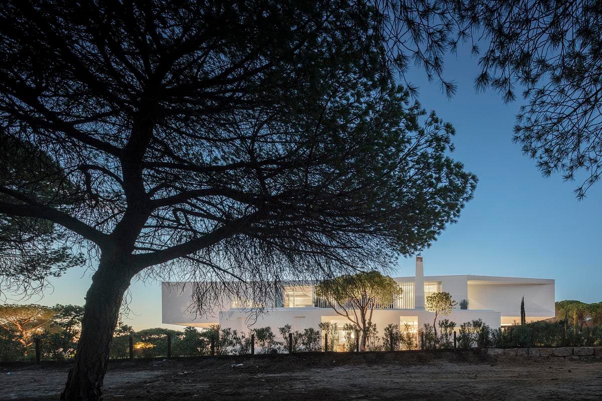 Contemporary white facade home surrounded by trees, illuminated at dusk for a serene retreat.