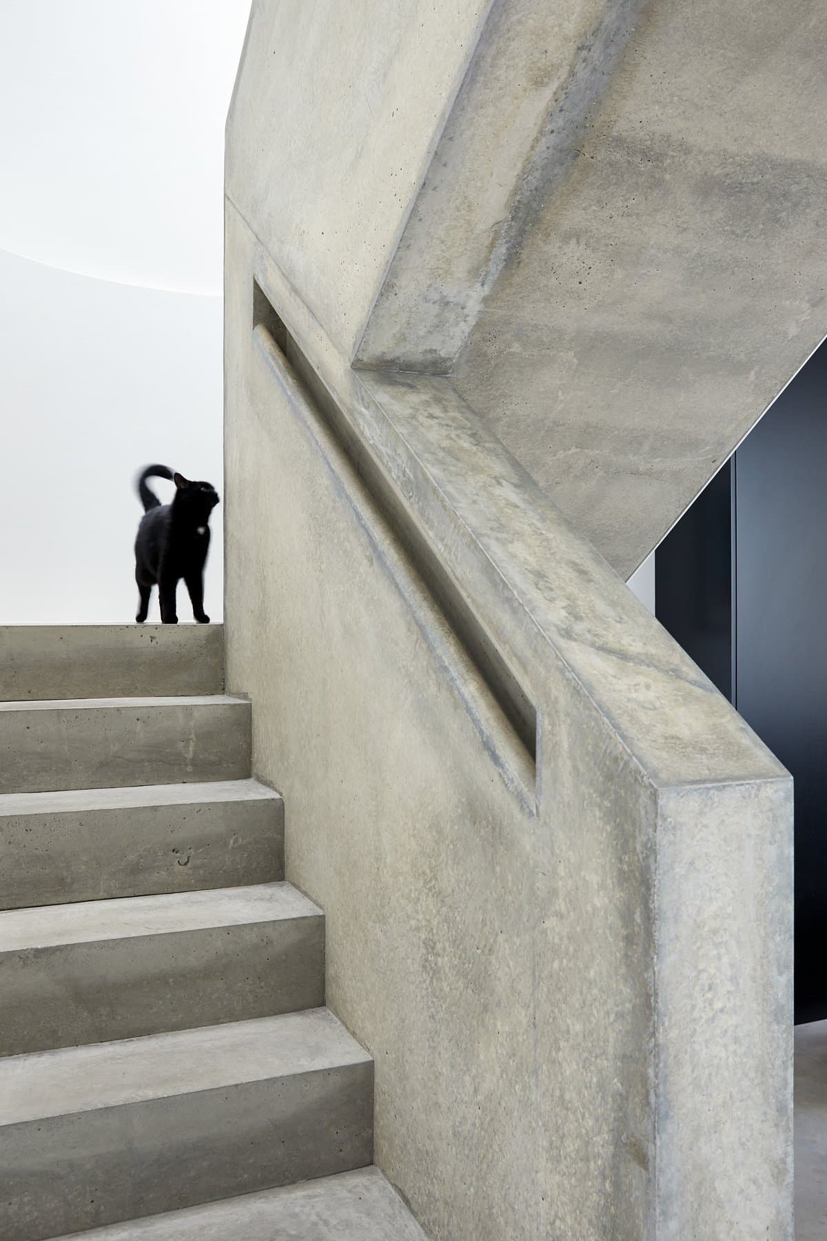 Modern concrete stairwell with a black dog on the landing, minimalist design.