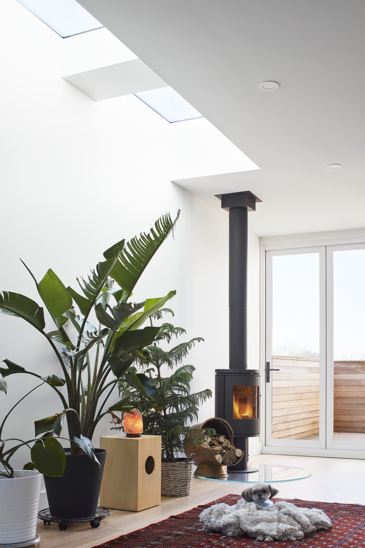 Modern, cozy living space with natural light, indoor plants, wood-burning stove, and textured rugs.
