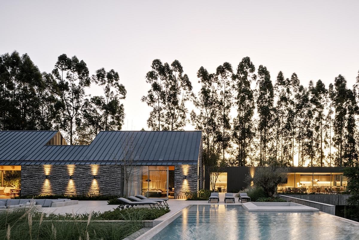 Modern home surrounded by eucalyptus trees, featuring sleek design and tranquil pool.