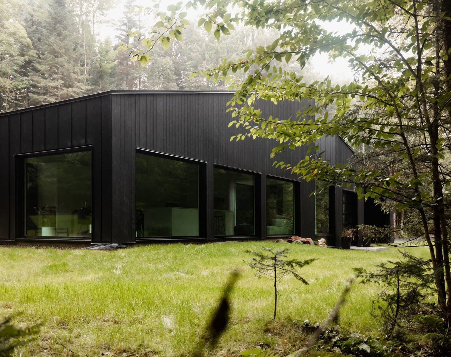Sleek black house harmonising with lush nature for serene, modern living.