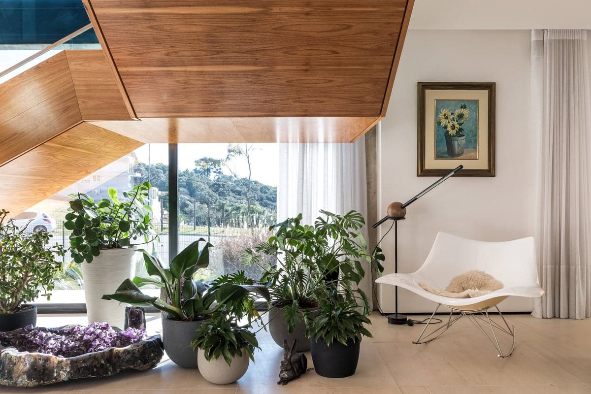 Serene modern living room with large window, indoor plants, and nature view.